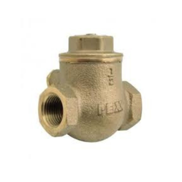 FxF Swing Check Valve