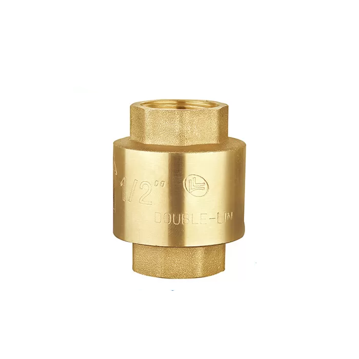 Spring Check Valve