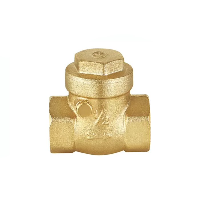 Swing Check Valve